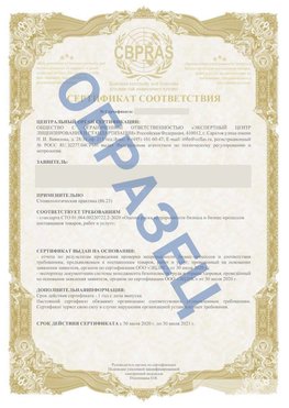 Образец Сертификат СТО 01.064.00220722.2-2020 Константиновск Сертификат СТО 01.064.00220722.2-2020 